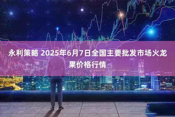 永利策略 2025年6月7日全国主要批发市场火龙果价格行情