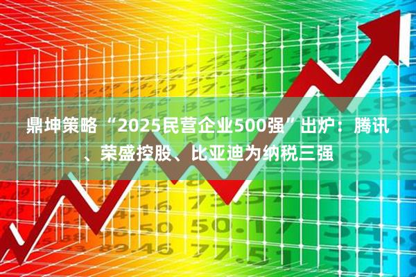 鼎坤策略 “2025民营企业500强”出炉：腾讯、荣盛控股、比亚迪为纳税三强