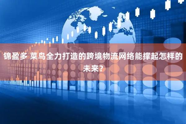锦盈多 菜鸟全力打造的跨境物流网络能撑起怎样的未来？