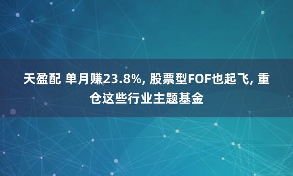 天盈配 单月赚23.8%, 股票型FOF也起飞, 重仓这些行业主题基金